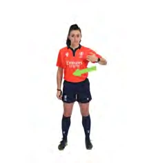 Propun rəqibi özünə çəkməsi